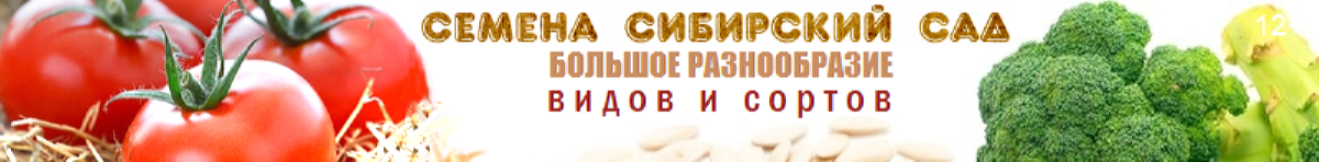 сиб